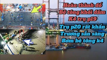 Cầu Rạch Miễu 2 Ngày 19/11/2024 Trụ P20 tập trung lực lượng ,sẵn sàng đổ bê tông khối dầm k4
