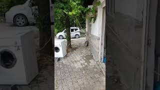 Çamaşır Makinasına Taş Atarsanız Ne Olur