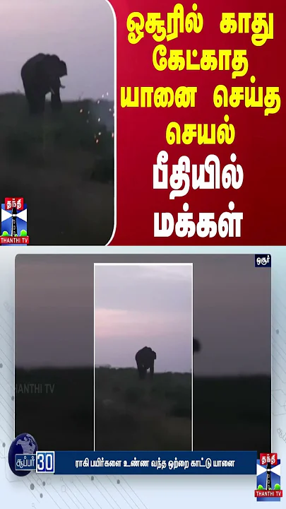 ஓசூரில் காது கேட்காத யானை செய்த செயல் - பீதியில் மக்கள்