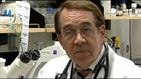 Leukemia and Lymphoma Clinical Trials