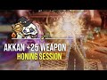 Lost ark  making 25 akkan weapon