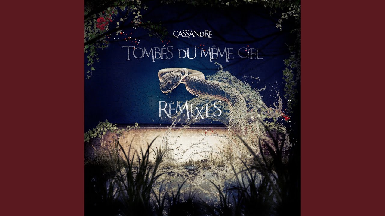Tombés du même ciel (Hansel Remix) - YouTube