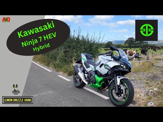 ハリウッドリライティングバイブル ハリウッド・リライティング・バイブル (夢を語る技術シリーズ No. 2