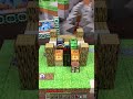 I Built Minecraft In Real Life #minecraft