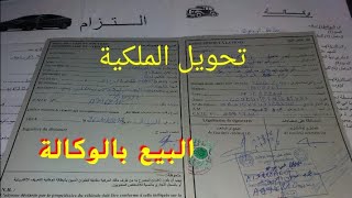 ماهي إجراءات شراء سيارة مستعملة وماهي أهم النصائح