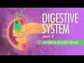 Digestive System, Part 3: Crash Course A&P #35
