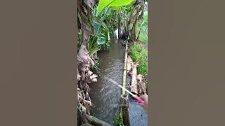 Fishing in the Gutter is Very Fun