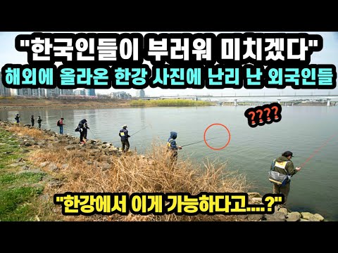[해외반응] "한강에서 이게 가능하다고...?" 해외에 올라온 특이한 한강 사진에 난리 난 외국인반응 // "한국인들이 부러워 미치겠다"