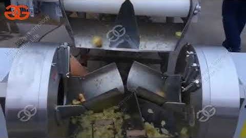 how to slice ginger root|fresh ginger slice cutting machine