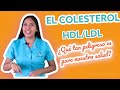 Colesterol- Todo sobre SALUD