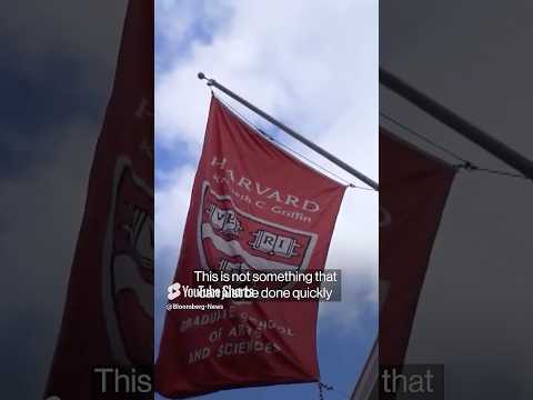 Can #Trump Revoke Harvard's Tax Exempt Status? #politics #shorts