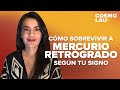 ¿Cómo sobrevivir a MERCURIO RETRÓGRADO?