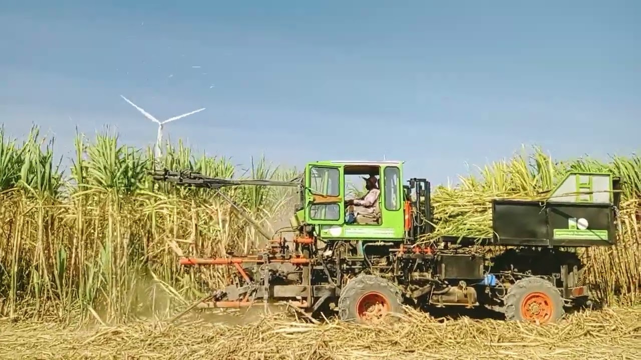 รถตัดอ้อยสดแแบบครบวงจร  โมเสส  ขุริลัง