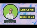 Làm Thế Nào Để Tăng Sức Đề Kháng Khi Nhiễm Cô Vít || Luận Japan