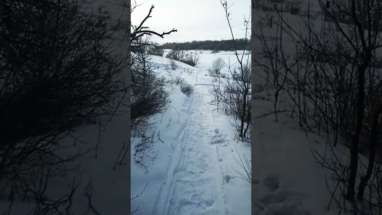 жизнь живёт ми 