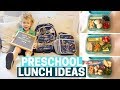 KOSHER LUNCHBOX IDEAS! Preschool / Toddler Lunches - Easy, Healthy & Bento Box