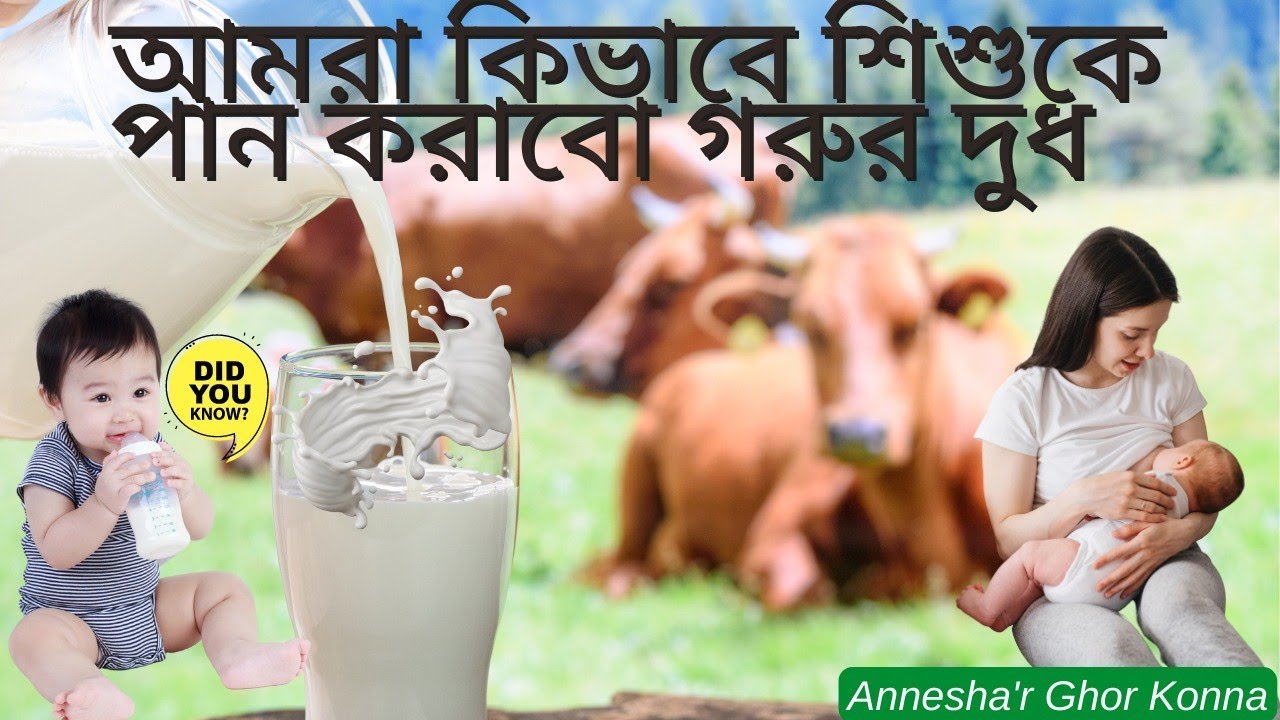 sisuke-gorur-dudh-kivabe-debe-how-to-introduce-cow-milk-to-babies