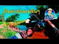 เดินตกปลาช่อนเพลินๆ ข้างทาง ตกปลาช่อนธรรมชาติ มิ้นท์ สาระลัวร์