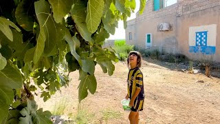 Rüyanurun Incire Olan Düşkünlüğü