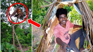 Tree House Making | 20 feet Hight tree house | மரத்தில் வீடு கட்டலாம் வாங்க ..| Mr.Suncity..