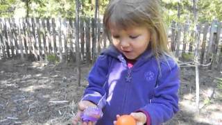 Happy Easter from Sofia