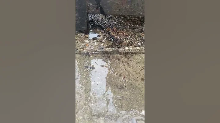 Erosion Investigation