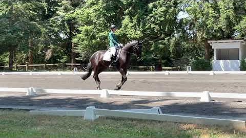 Matthew S ☆ 77% First Level Test 1