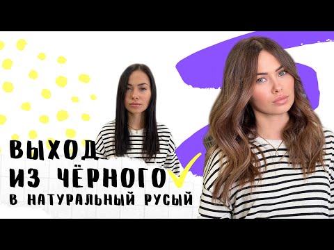 видео: Выход из черного в натуральный русый. Техники окрашивания на мастер-классe от LITVINOVA