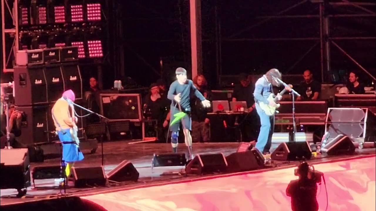 Red Hot Chili Peppers Drummer.Tell Me Baby. Danny's Song. Tippa Tongue