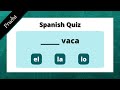 Spanish Definite Articles Quiz