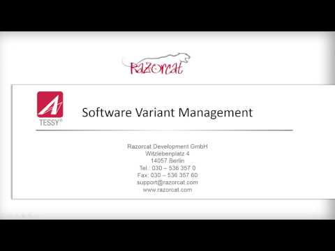 Software Variant Testing with TESSY
