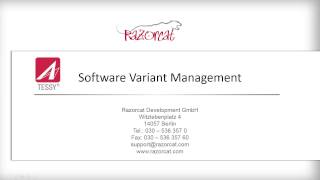 Software Variant Testing with TESSY