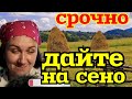 Деревенский дневник /Срочно надо деньги на сено /Обзор Влогов /Мать-героиня /Леля Быкова /