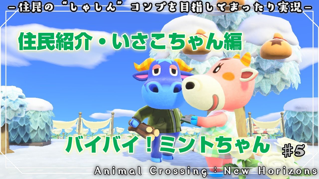 Animal Crossing 2025] #5 Villager Introduction - Isako & Goodbye