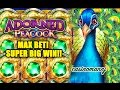 Adorned peacock slot  max bet  super big win  slot machine bonus