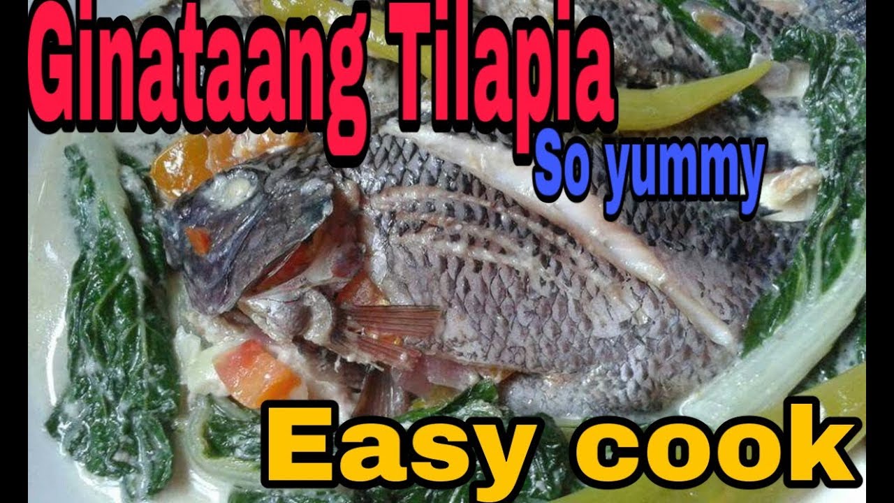 Ginataang TilapiaPanlasang pinoy(Tilapia cook in coconut milk)EASY WAY