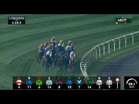 【ドバイワールドカップデー】ドバイターフ ドウデュース敗れる ルメール騎手が落馬