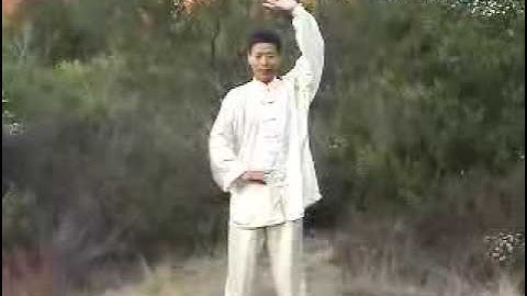 Conquer_**** (Myths\Basilisk) _**** (sharkman2239) _**** (co conquer online mmo Kung-Fu Tutorial )