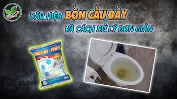 Dấu hiệu bồn cầu bị đầy và cách xử lý hầm cầu bị đầy cực đơn giản