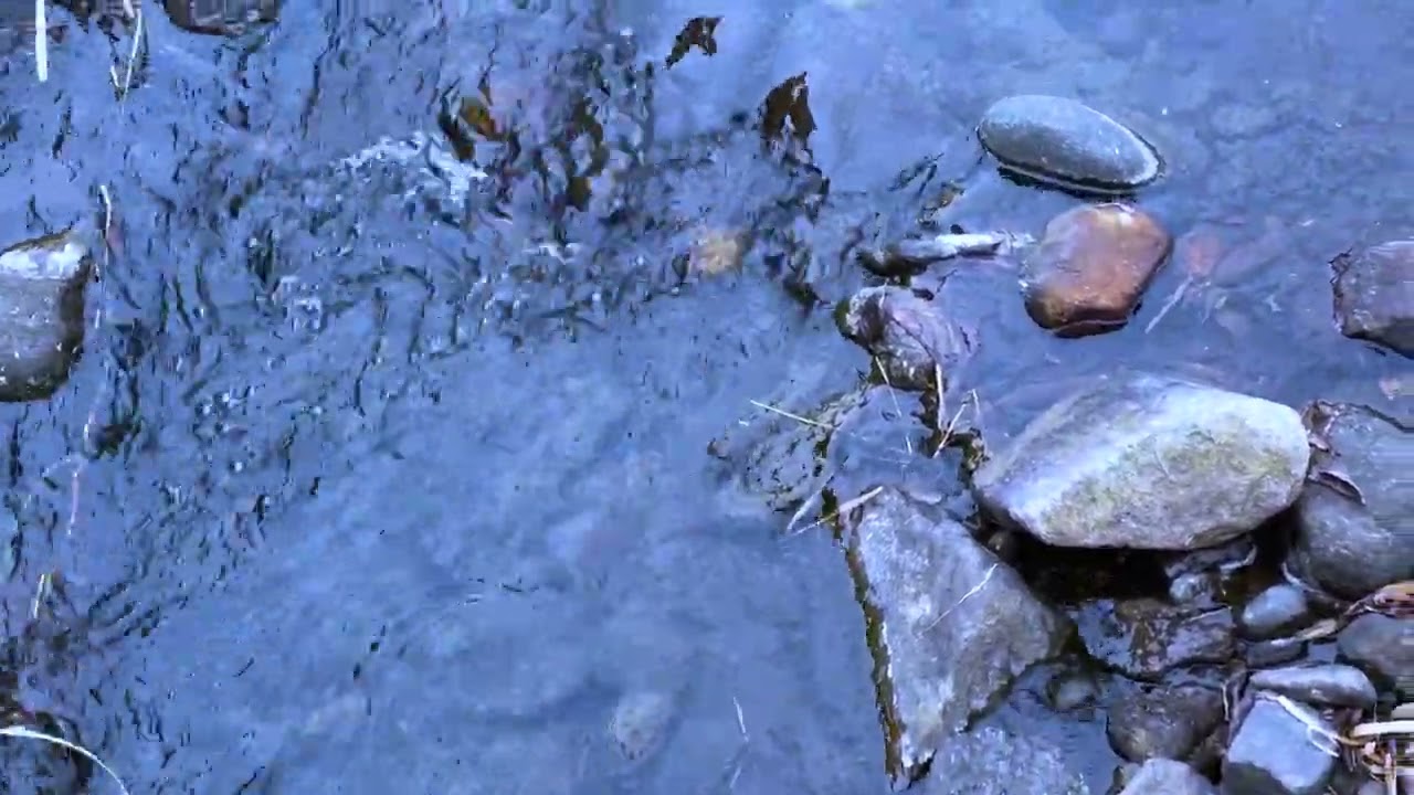 5분만에 잠오는소리 | 시냇물소리,물소리ASMR,백색소음 | 불면증에 좋은 물소리 | 불면증치료음악,수면유도음악 | Sounds For Sleeping, White Nosie