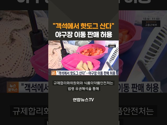 "객석에서 핫도그 산다"  야구장 이동 판매 허용 / 연합뉴스TV(YonhapnewsTV)