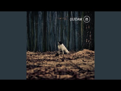 Quidam (5) — Dodekaphonix