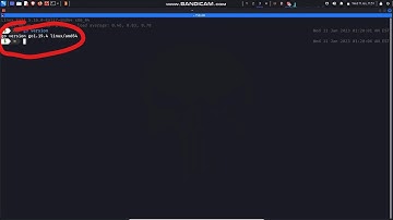 How to install go language in kali linux