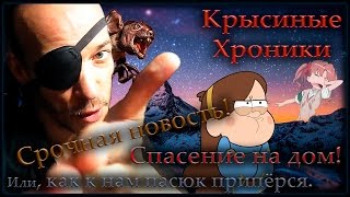 Крысы | Спасение на дом, или как к нам пасюк припёрся. (Wild Rats) Крысы | Спасение на дом, или как к нам пасюк припёрся. (Wild Rats)