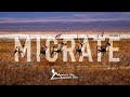 MIGRATE - Alaskan Caribou Hunting Adventure