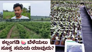 Best time for watermelon 🍉 plantation | watermelon plantation in kannada | #krishiannadata