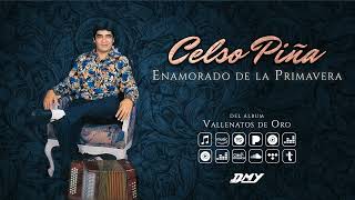 Video thumbnail of "Celso Piña - Enamorado De La Primavera (Audio Oficial)"