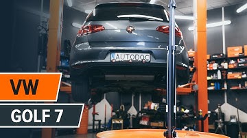 How to change rear shock absorber on VW GOLF 7 [TUTORIAL AUTODOC]
