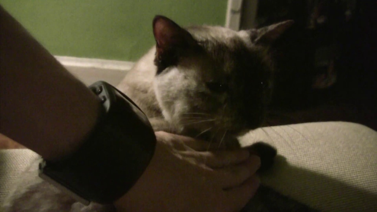 Nothing is Happening 01: Lily