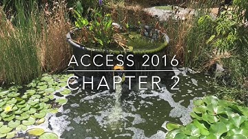 Access Chapter 2